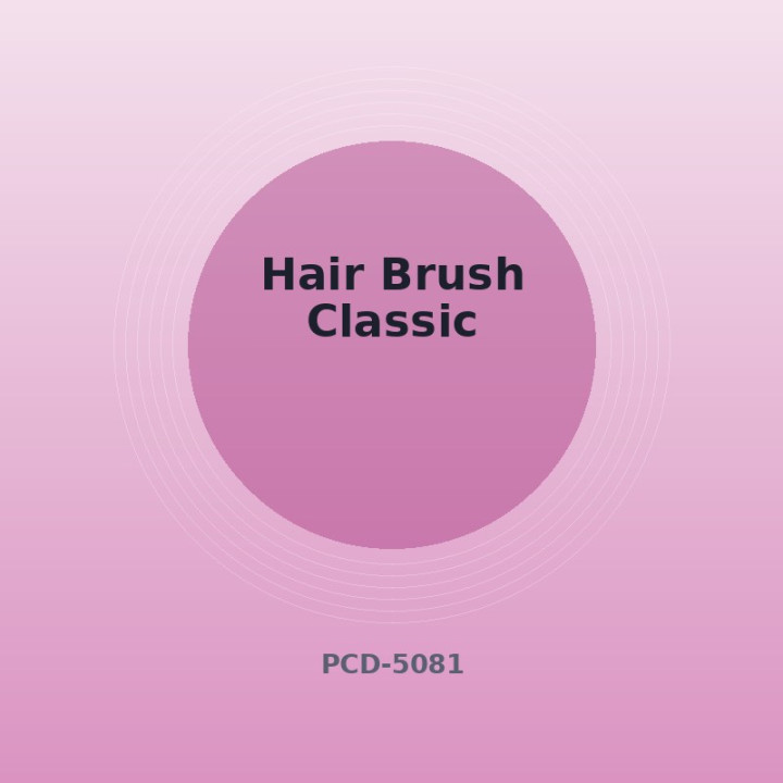 Hair Brush Classic