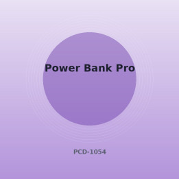 Power Bank Pro