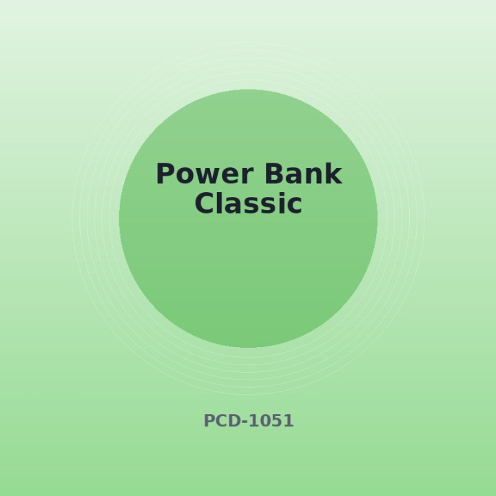 Power Bank Classic